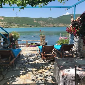 Bed & Breakfast Rosa, Lini